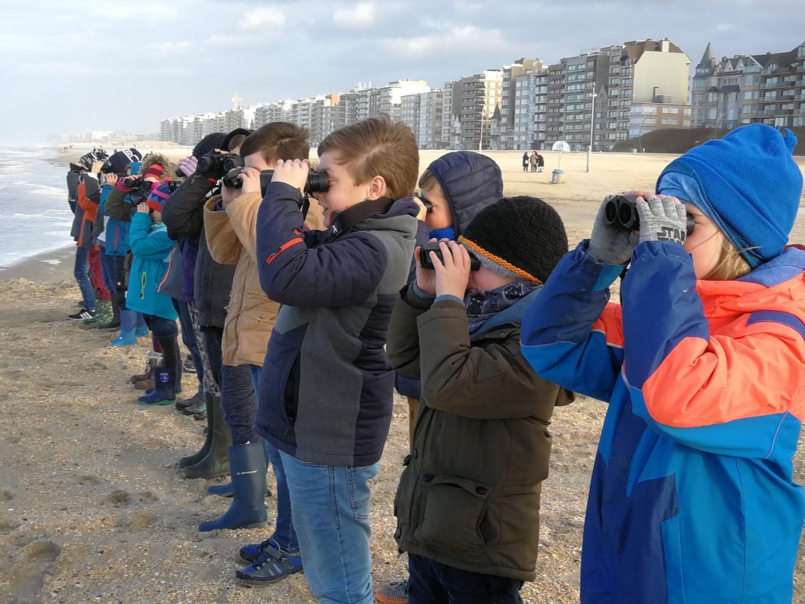 De Zeevonk -  jeugd natuurvereniging De Panne