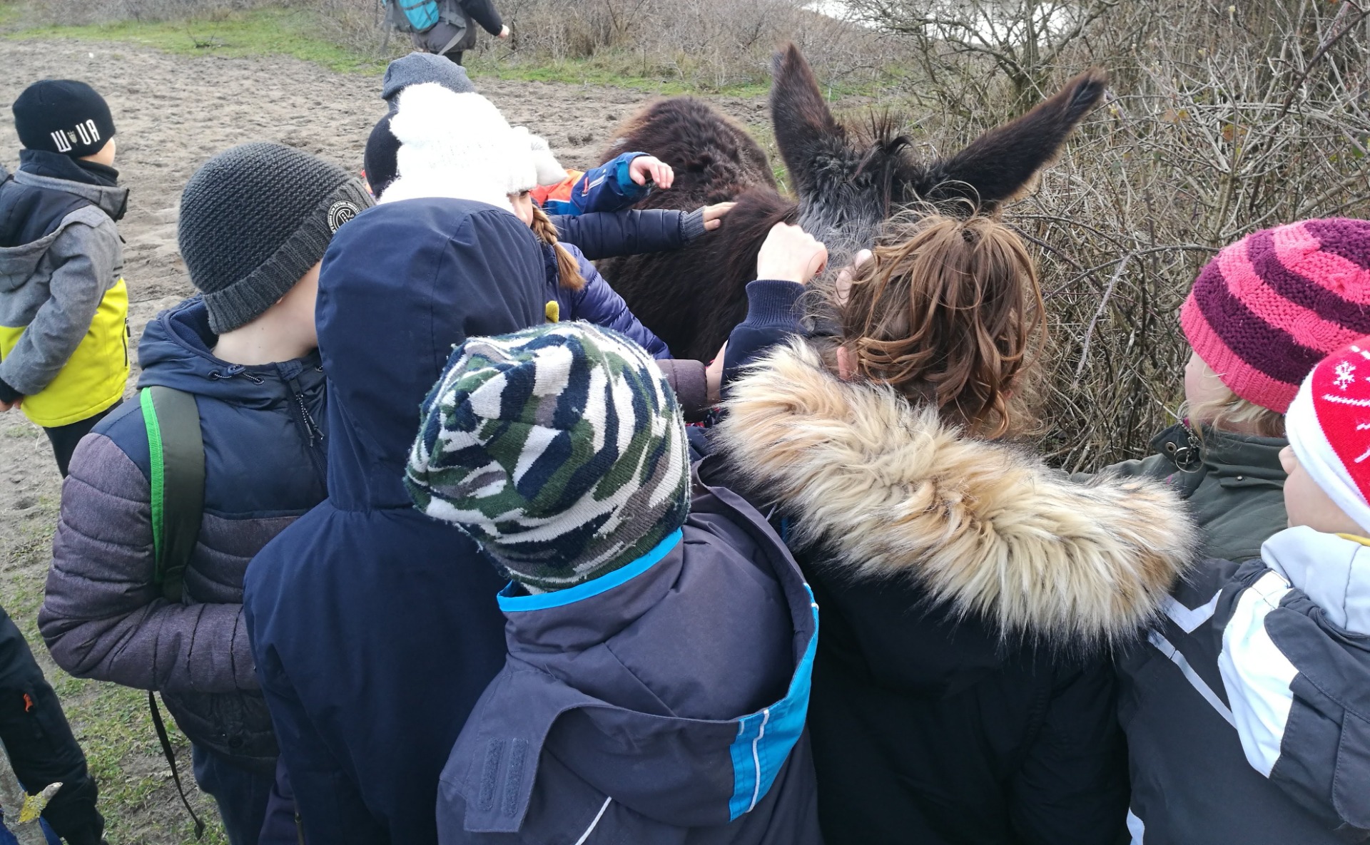 De Zeevonk - spelend de natuur ontdekken