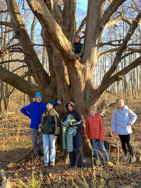 De Zeevonk - activiteit Calmeynbos