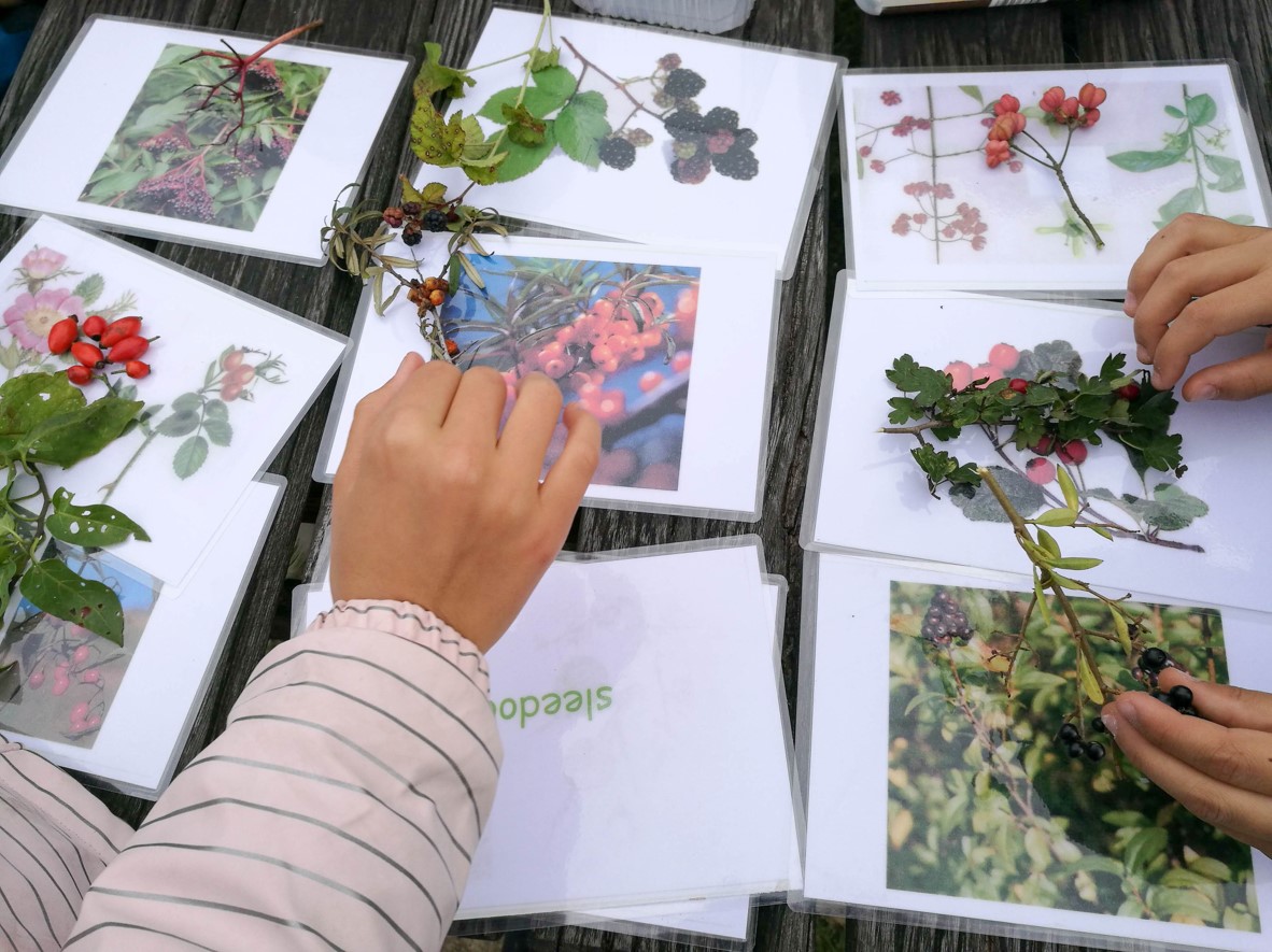 De Zeevonk - spelend natuur ontdekken
