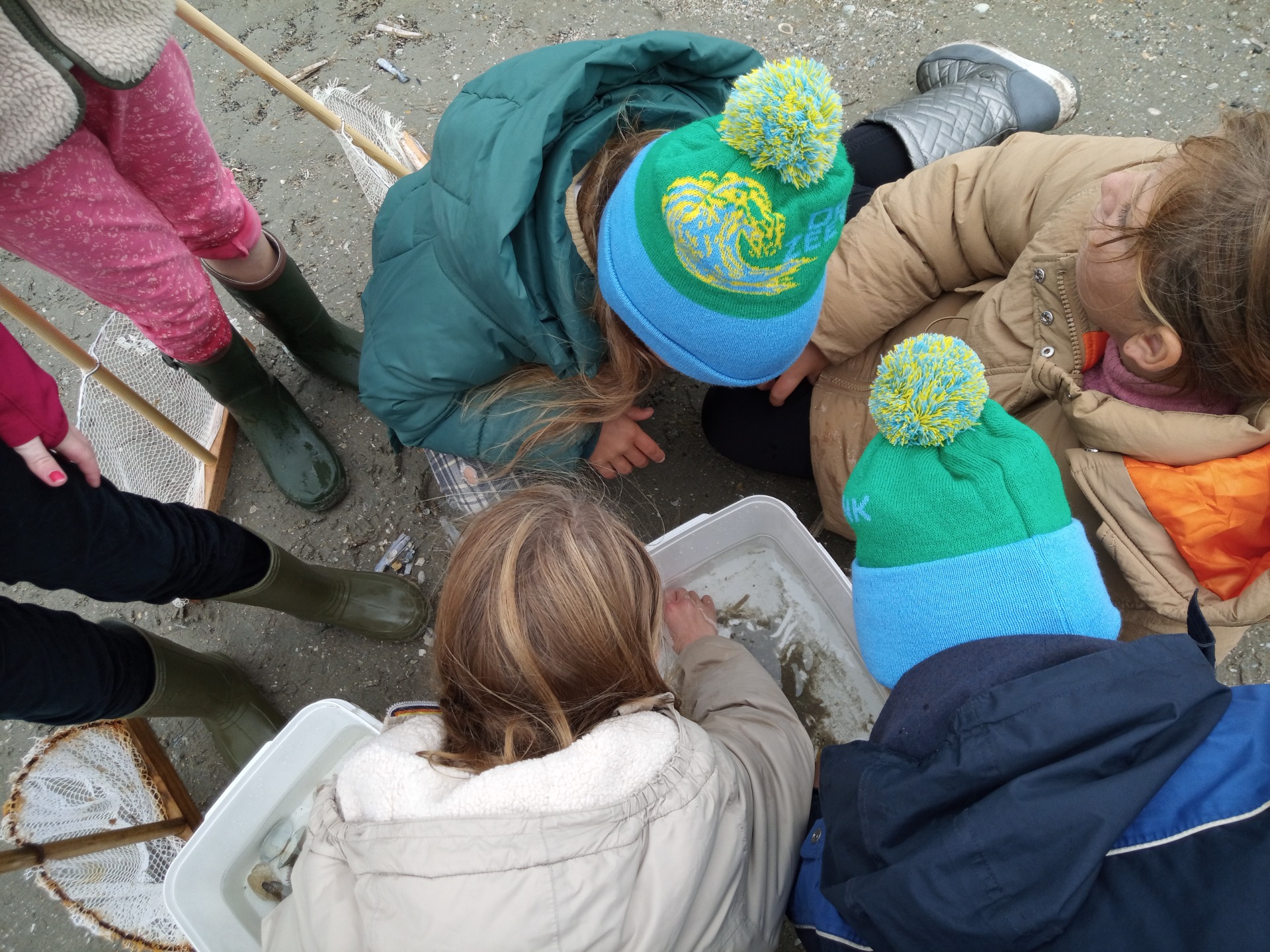 De Zeevonk - strandactiviteit